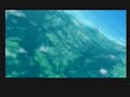 Segagaga Intro
