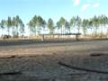 videos de mat albritton of sfc footy