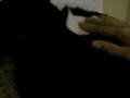 Re: How To Annoy Your Cat... The Nice Way! [part 1]