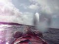 Sea Kayaking White Strand