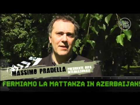 Vedi il video