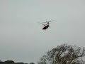Twinn Rexx RC Chinook