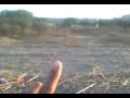 carreras parejeras