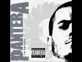 Pantera - I'm Broken (Remasterd)
