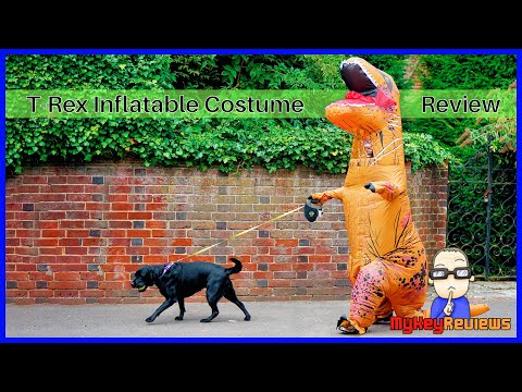 Inflatable T-Rex Dinosaur Costume (Adult Size) | Set-Up & Review | MyKeyReviews