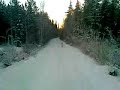 Ville Tessu ja Mirkku