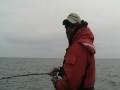 Monster Trout Biggest Lake Trout  Ever Lake Michigan Fishing!!!!!  For Me!!