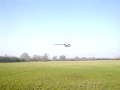 Trex 700 electric View Video
