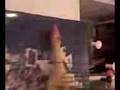 videos de Blowgun shootin Chicken