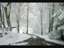 Nature From Spring to Spring