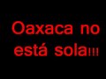 terrorismo del estado mexico ultimo video de brad will #1de2