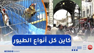 مصروف الدار : مارشي كوفار بالحراش..نهار الجمعة ڤاع يروحو ليه