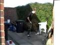 Pogo Stick Fun
