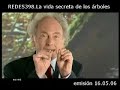 La vida secreta de los árboles