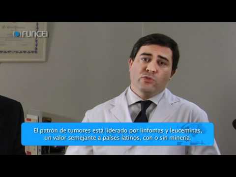 Salud, contaminaciÃ³n ambiental y minas en Catamarca