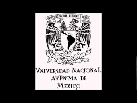 iibi - IIBI UNAM.
