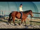 Lynn - Halsring reiten Lynn - Halsring reiten
