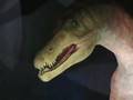 Dinosaurs in Cremona (Italy) - Pt.1 - Dinosaurs