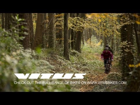 chain reaction cycles