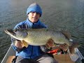 Predox Jointed Mutant
