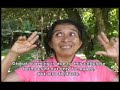 voces de america latina contra el desierto verde ii