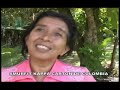 voces de america latina contra el desierto verde ii