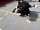 luke getting beat up by kieran (batman)