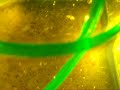 DSCF0146 DSCF0146