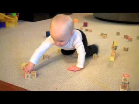 0 We Stack Things Up and He Knocks Them Down (video)
