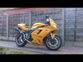 videos de Triumph Daytona 955i with Trident Carbon High Level End Can