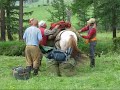Lev�e de camp
