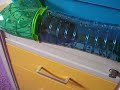 Hamster gevonden door katten