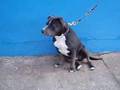 Fiona en sus 9 meses