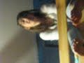 me trina.. randome talk