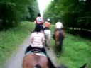 association equestre des randonneurs de Mormal