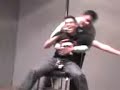Luz de dia - koala.mp4