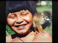 scorpions    humanity slideshow about amazonian rainforest