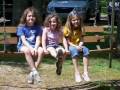 videos de Ayers Family Reunion 2008 0001