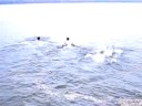 Freezing in the waters of Maine Freezing in the waters of Maine