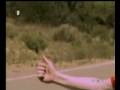 Max Pezzali - Come Mai