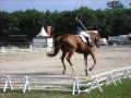 Les championnats de France