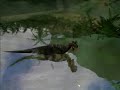 V�deo Jurassic Park: Operation Genesis Island Tour 2