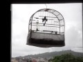 Coleiro tui tui Velhinho