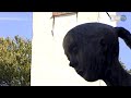 Bodensee Leutkirch Videoportal - BodenseeTV.TV