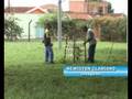 videos de STZ TV - AÇÃO GLOBAL