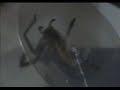 SPIDERS IN THE ROOM!!!!!! SPIDERS IN THE ROOM!!!!!!