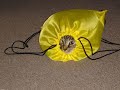 Funny Cats - roflcats.com
