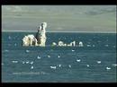 1 Minute Vacation - Mono Lake