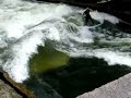 Munich River Surfing