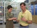 Pet Birds for Children : Pet Bird Taming for Children Pet Birds for Children : Pet Bird Taming for Children
